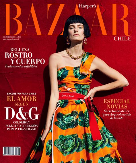 harper's bazaar Dolce & Gabbana